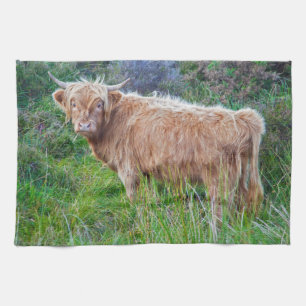 Young Highland Cow Kitchen Towel