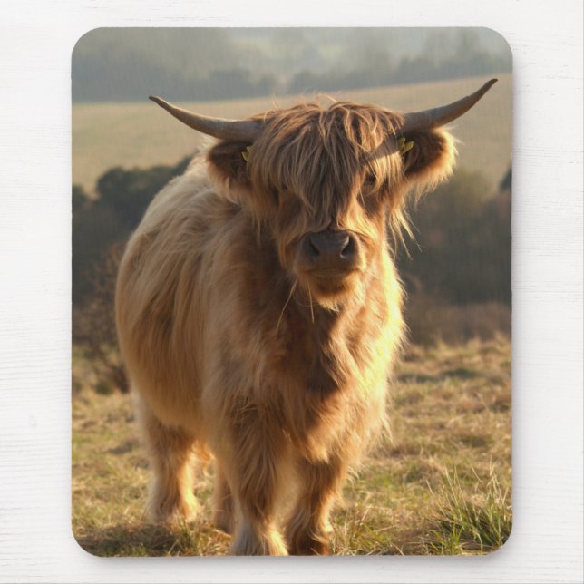 Young Highland Cow Mouse Pad (Front)