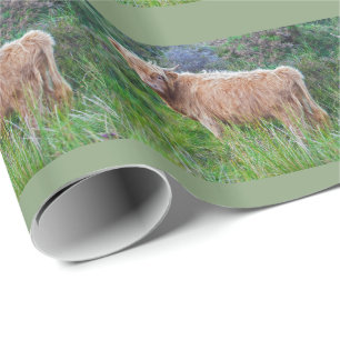Young Highland Cow Wrapping Paper