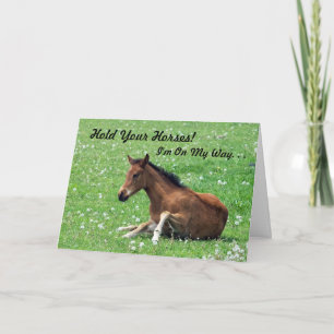 Young Horse Birthday Card