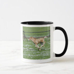 Young Horse Running Mug