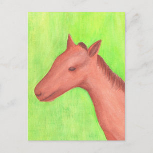 Young horse watercolor painting postcards