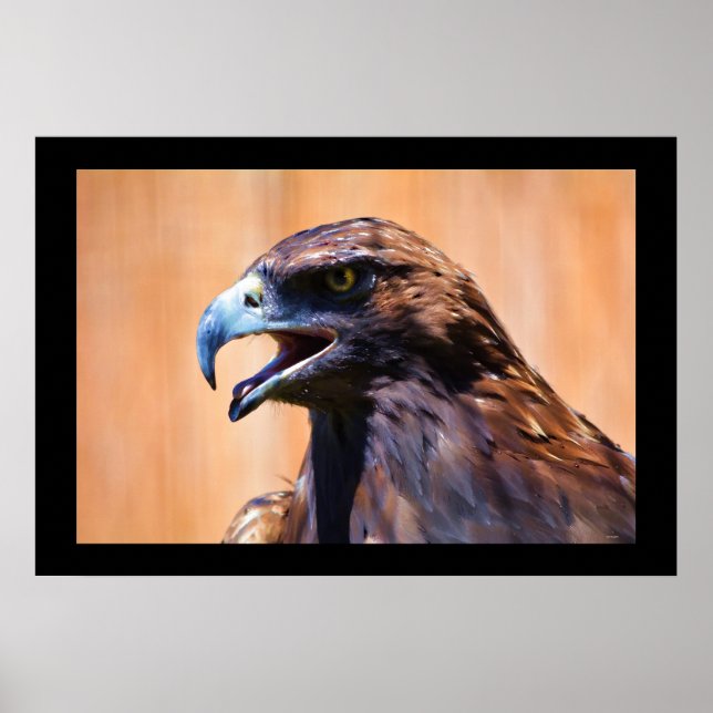 Young Juvenile Bald Eagle Wildlife Painting Poster (Front)