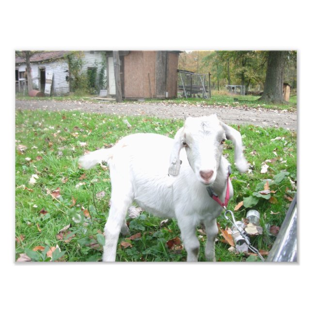 Young Kid Photo Print (Front)