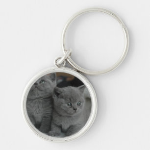 young kitten pet purr meow kitty cute cat key ring