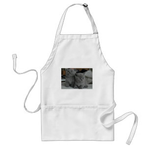 young kitten pet purr meow kitty cute cat standard apron