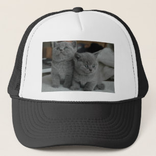 young kitten pet purr meow kitty cute cat trucker hat