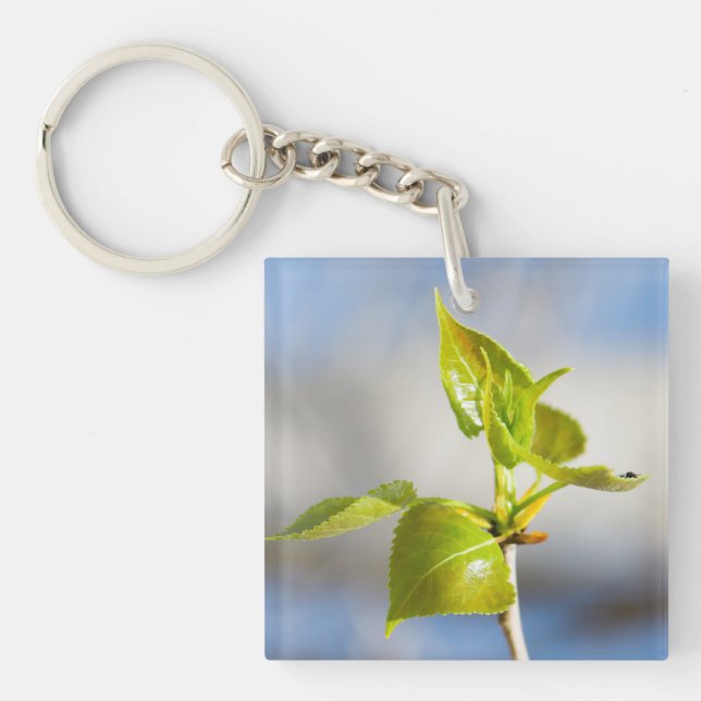 Young leaves key ring (Front)