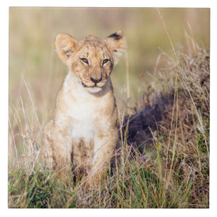 Young lion ceramic tile