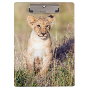 Young lion clipboard