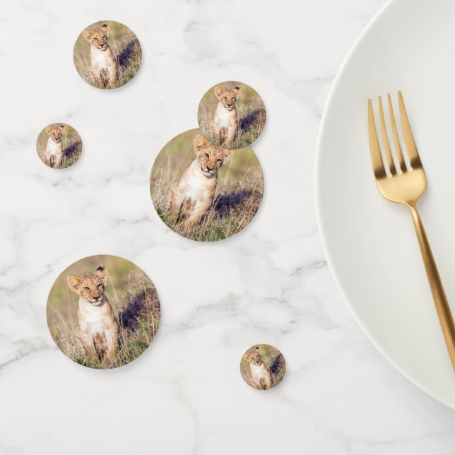 Young lion confetti (Group)