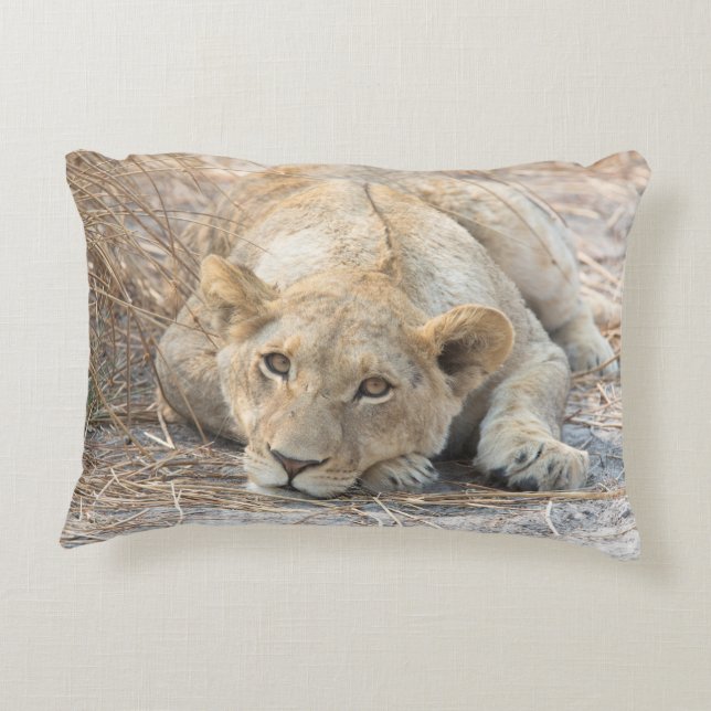 Young lion decorative cushion (Back)