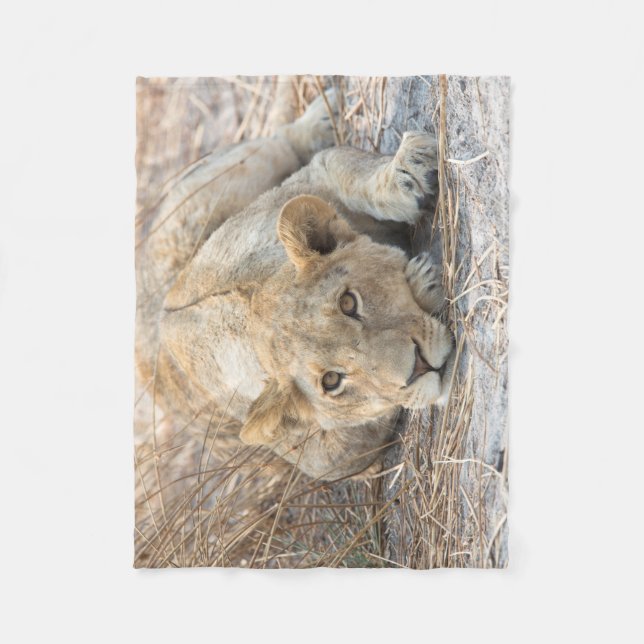Young lion fleece blanket (Front)