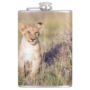 Young lion hip flask