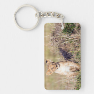 Young lion key ring
