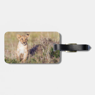 Young lion luggage tag