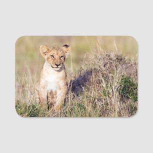 Young lion name tag