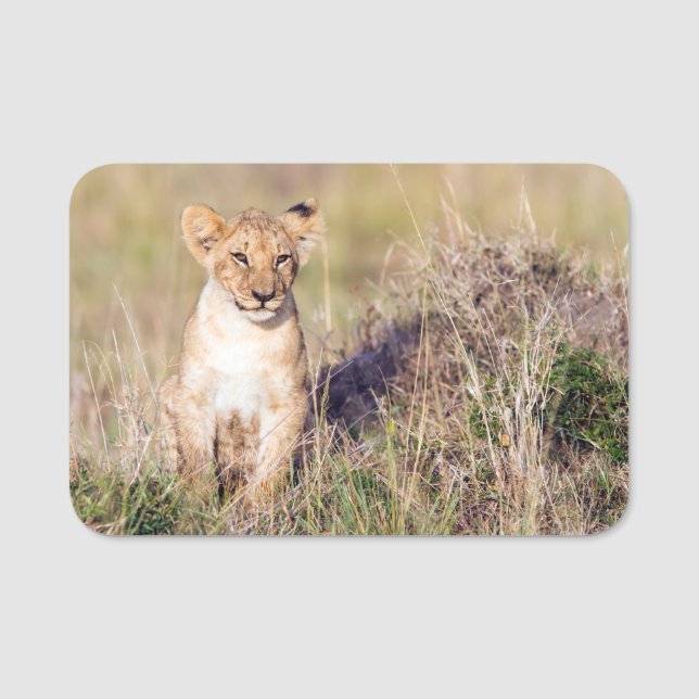 Young lion name tag (Front)