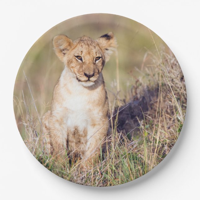 Young lion paper plate (Front)