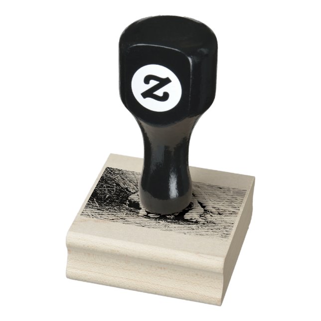 Young lion rubber stamp (Stamp)