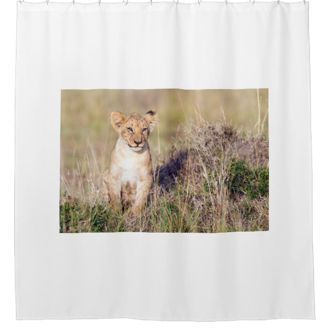 Young lion shower curtain (Front)