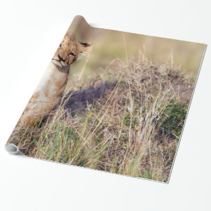 Young lion wrapping paper