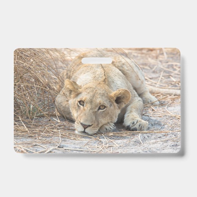 Young lions ID badge (Front)