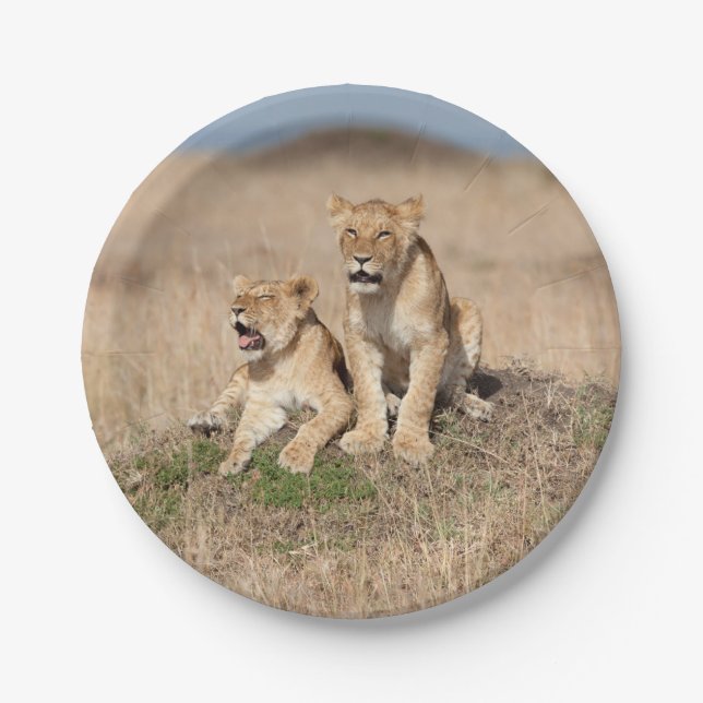 Young lions paper plate (Front)