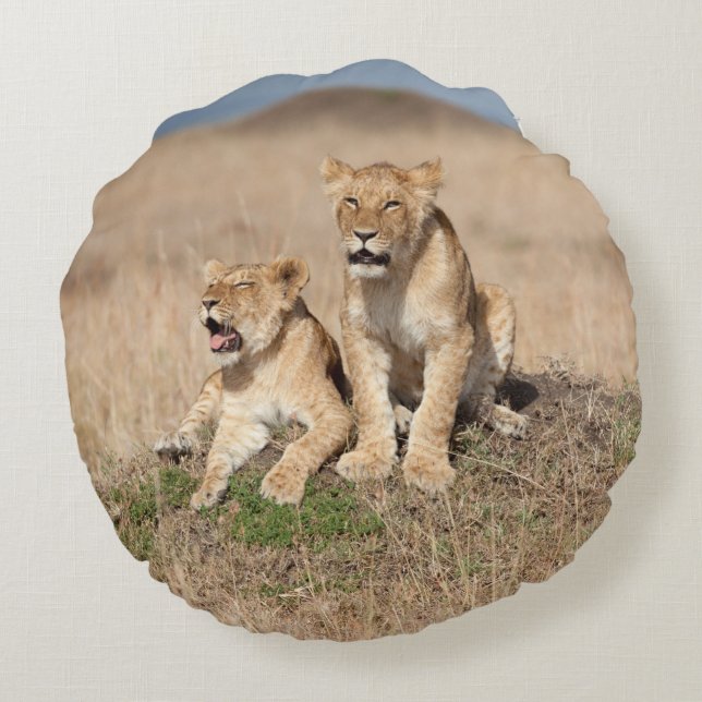 Young lions round cushion (Back)