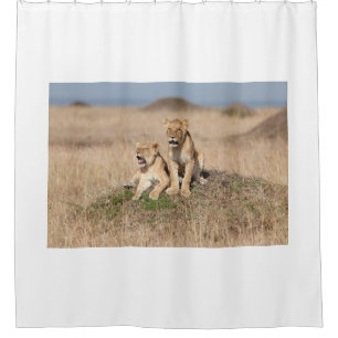 Young lions shower curtain