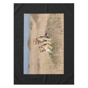 Young lions tablecloth