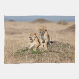 Young lions tea towel