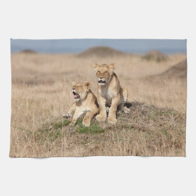 Young lions tea towel (Horizontal)