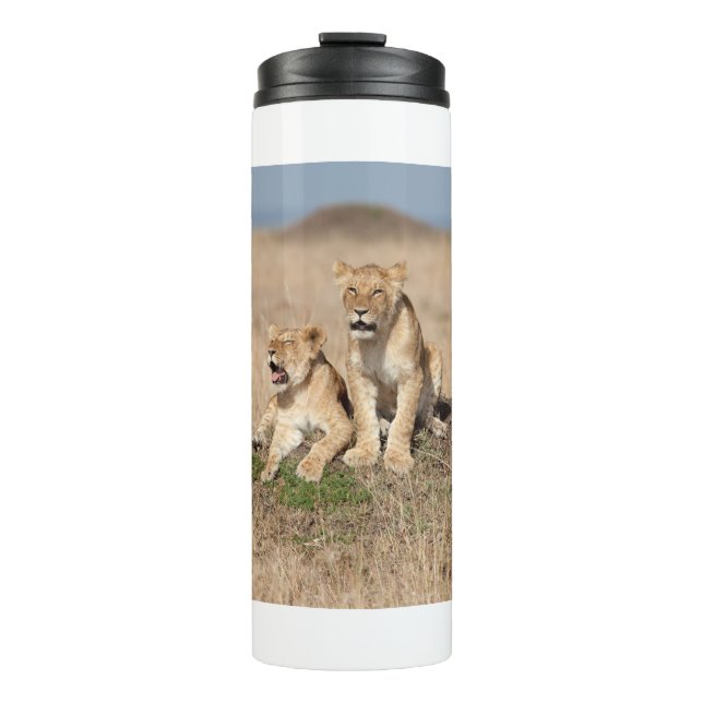 Young lions thermal tumbler (Front)