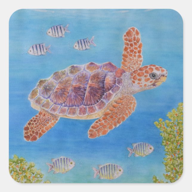 Young Loggerhead Sea Turtle Square Sticker (Front)