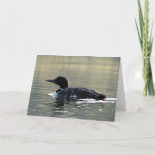 Young Loon Greeting Card
