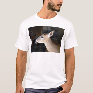 Young Male Key Deer, Florida T-Shirt