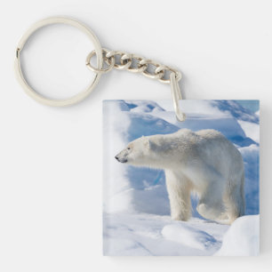 Young Male Polar Bear Key Ring