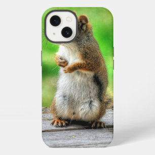 Young Male Squirrel Standing Wildlife Photo iPhone Case