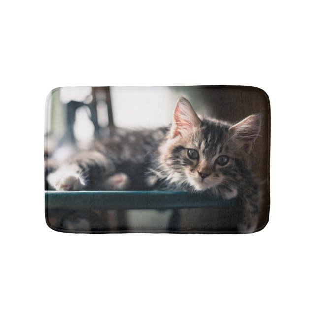 Young Male Tabby Cat 2 Bath Mat (Front)