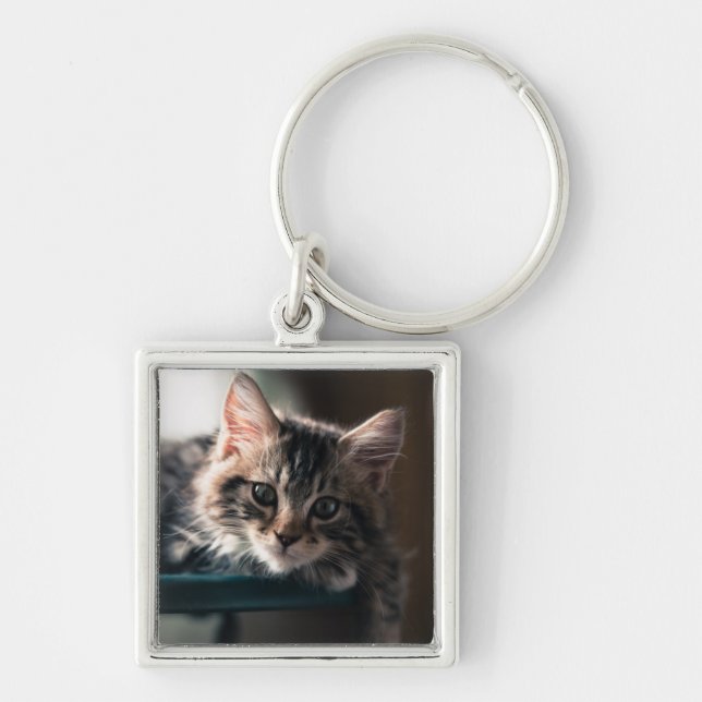 Young Male Tabby Cat 2 Key Ring (Front)