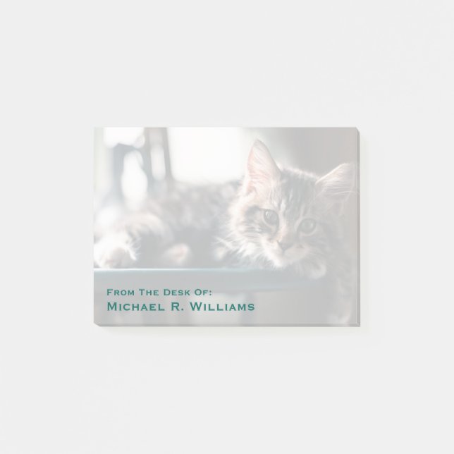 Young Male Tabby Cat 2 Post-it Notes (Front)