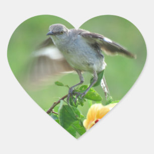 Young Mockingbird bird Stickers