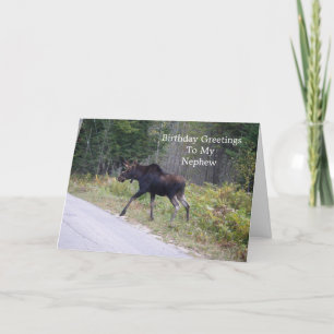 Young Moose On Road-Nephew's Birthday Card