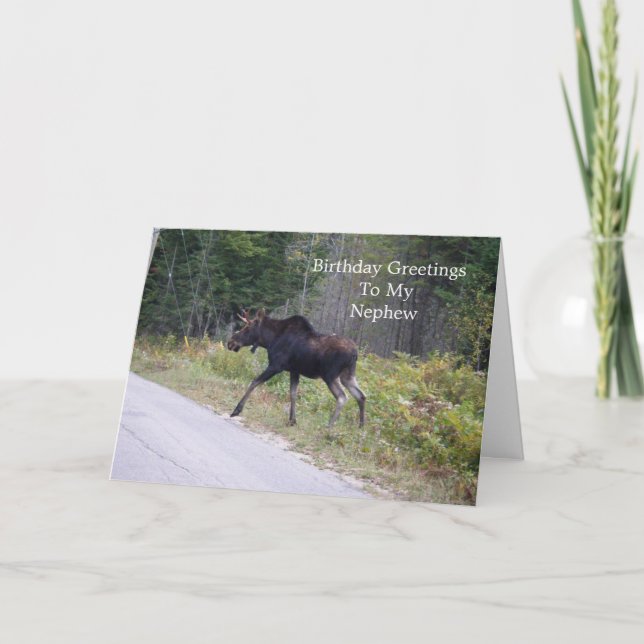 Young Moose On Road-Nephew's Birthday Card (Front)