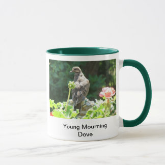 Young Mourning dove Mug