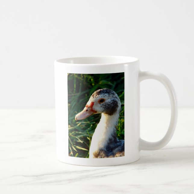 Young Muscovy Hen Duck Coffee Mug (Right)
