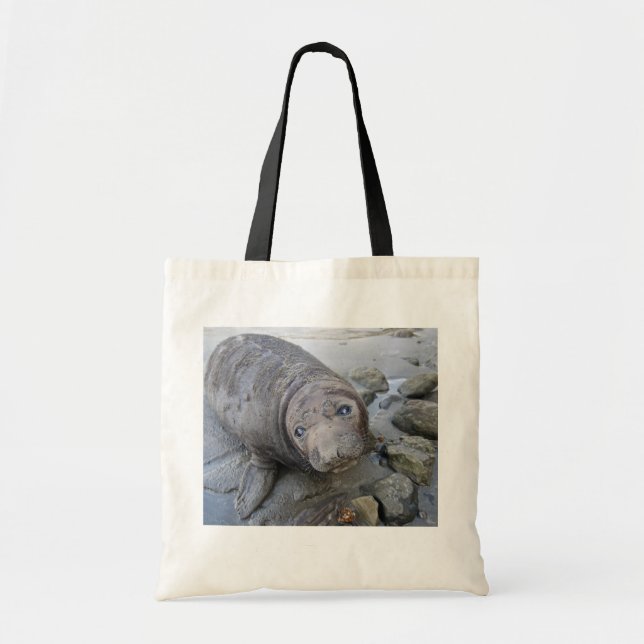 Young Northern Elephant Seal Tote Bag (Front)