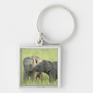 Young ones of Indian / Asian Elephant Key Ring