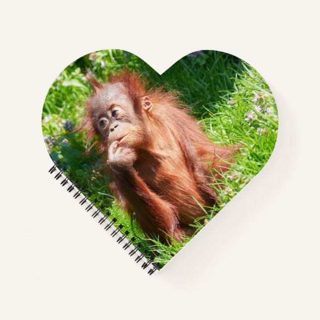 Young Orangutan Deep in Thought Notebook (Front)